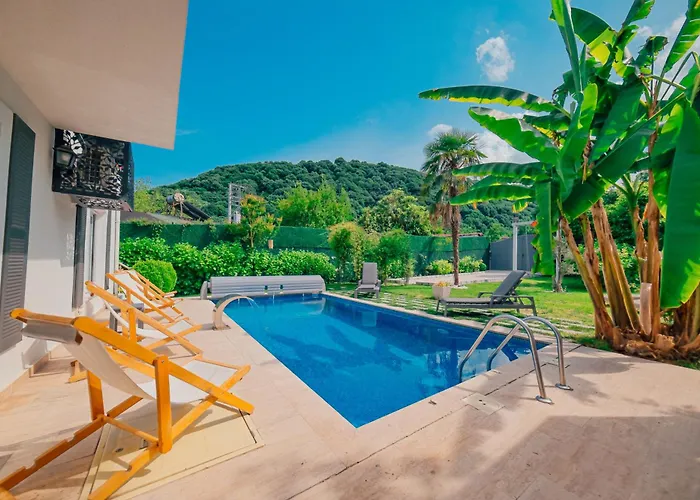 Atlas Muhafazakar Havuzlu, Mustakil Genis Bahceli ספנג'ה