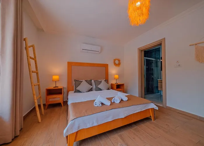 Atlas Muhafazakar Havuzlu, Mustakil Genis Bahceli